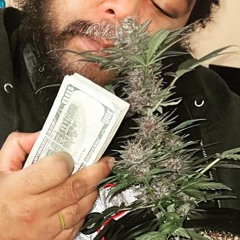 V-$tack$ the ProFit$