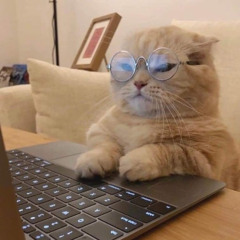 직이
