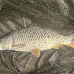 Fisherman