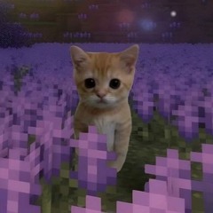 BYTE