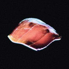 2025-10_coastal-ambience_79BPM_03m23s_CK.WIP