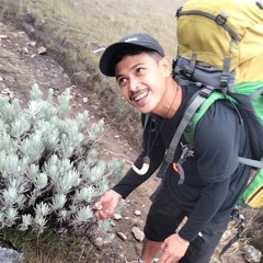 Ahdi Armanda