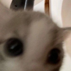 duwouq
