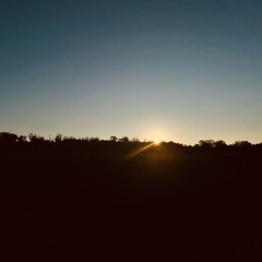 ceraceo