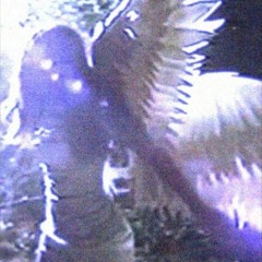 ✧Adonai Neo Jordan✧