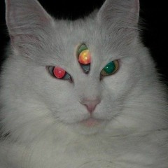 4r0un6 7h3 w0rl6