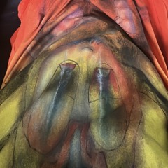 C13