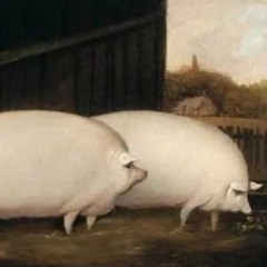 Smolarski Hainui - Smofreeze - Prod Prépass Vibes