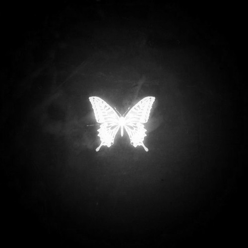 INTRO