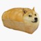 Chubby Cheesemunk
