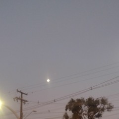 An?Dreey