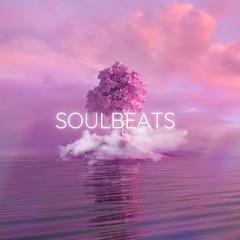 SOVLBEATZ