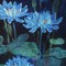 Hajer •