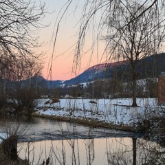 Rosemarie Grimm Pedretti