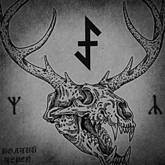 ВОЛЧИЙ ЧЕРЕП