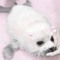 ᵃⁿᵍᵉˡⁱᶜᵈᵒˡˡʸ ౨ৎ