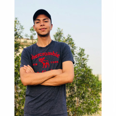 Kareem Mostafa