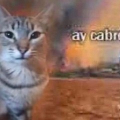 ‎