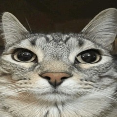 Scott_^^