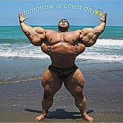 gymcel
