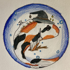 The Koi Wizard