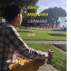 Хэрлэн Проф