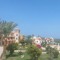 mostafa