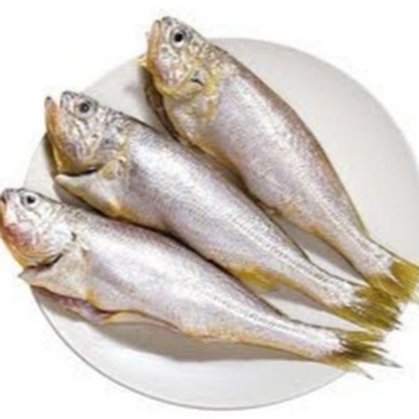 Jogi