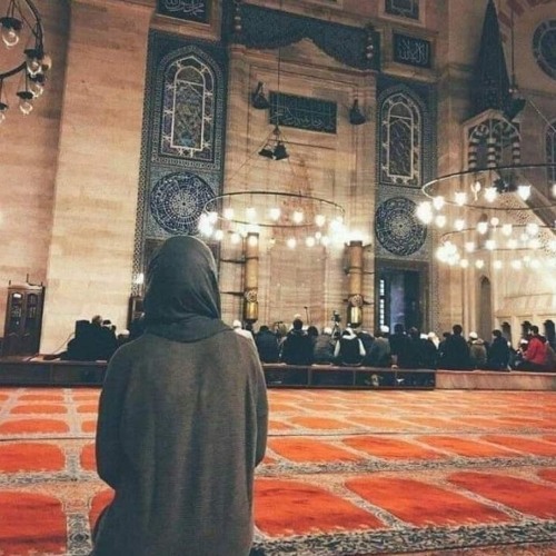 Fatima Suliman’s avatar