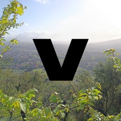 Valonte