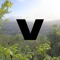 Valonte