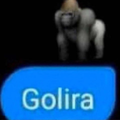 daireoconnor6969