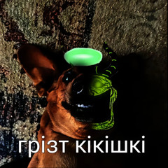Яна ркоман