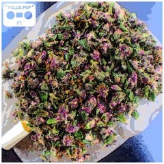 28Grams 28Grams
