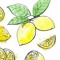 lemon lover - citrus 🍋