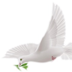 User 412017039