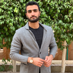 Elsayed Tamer