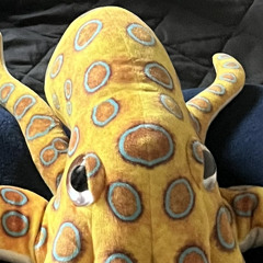 see you next tuesday