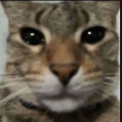 El mau