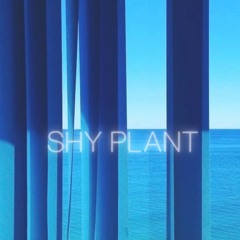 SHY PLANT