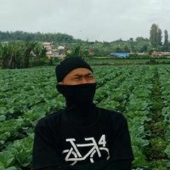 AnHak BinJai