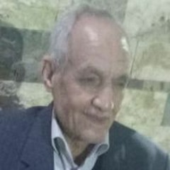 شجرة الدر
