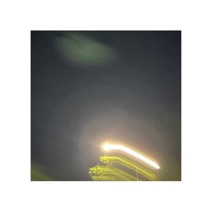 Lonely Lemon