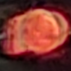 Drugfak