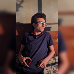 Omar Elshayal