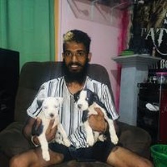 Gayal Kokila