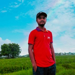 Adil Raihan Shetu