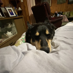 jett