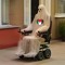 Rollerghoster of Love
