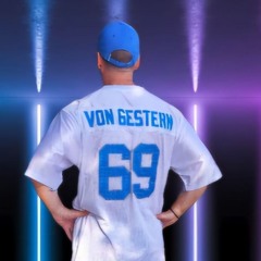 Paul von Gestern